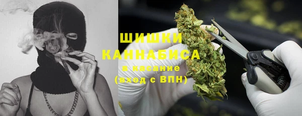 твердый Аркадак