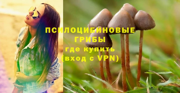 твердый Аркадак