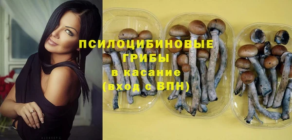 кристаллы Богданович