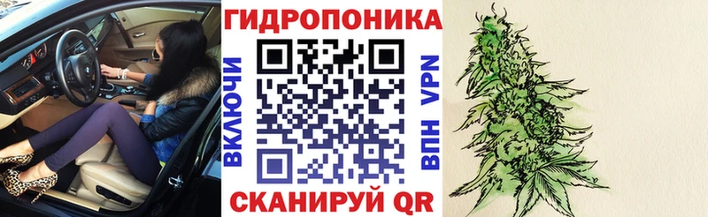 Бошки Шишки индика  Карабулак 
